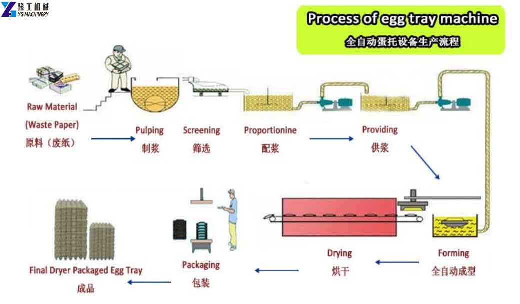 Process of Egg Tray Machine