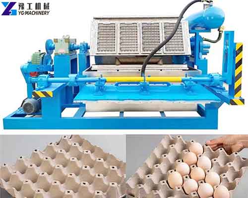 Paper Egg Tray Machine Price