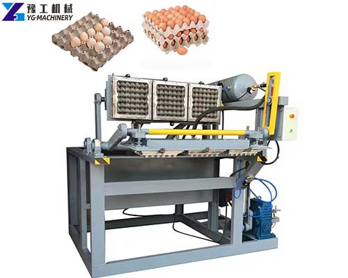 egg tray making machine price