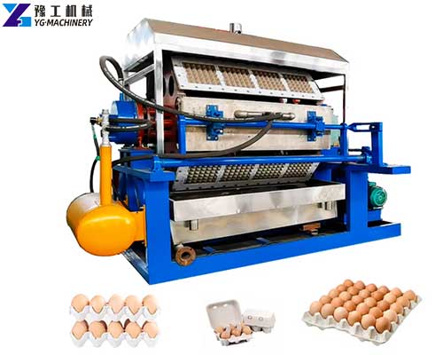 fully automatic egg tray machine price