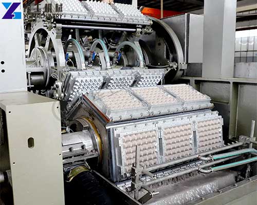 egg tray manufacturing plant cost